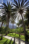 Seaside Palm Beach
