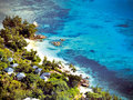 Raffles Praslin