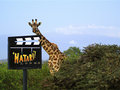 Hatari Lodge
