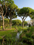 Pine Cliffs Resort - Sheraton Algarve