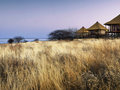 Onkoshi Camp