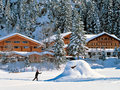 Waldhotel Doldenhorn & Landgasthof Ruedihus - Waldhotel Doldenhorn