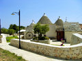 Trullidea