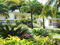 Blue Horizons Garden