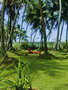 Serene Pavilions