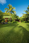 Paradise Sun