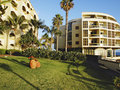 Pestana Palms