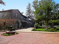 Bougain Villa