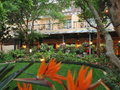 Protea Balalaika Sandton