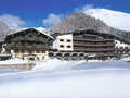 Alpenrose