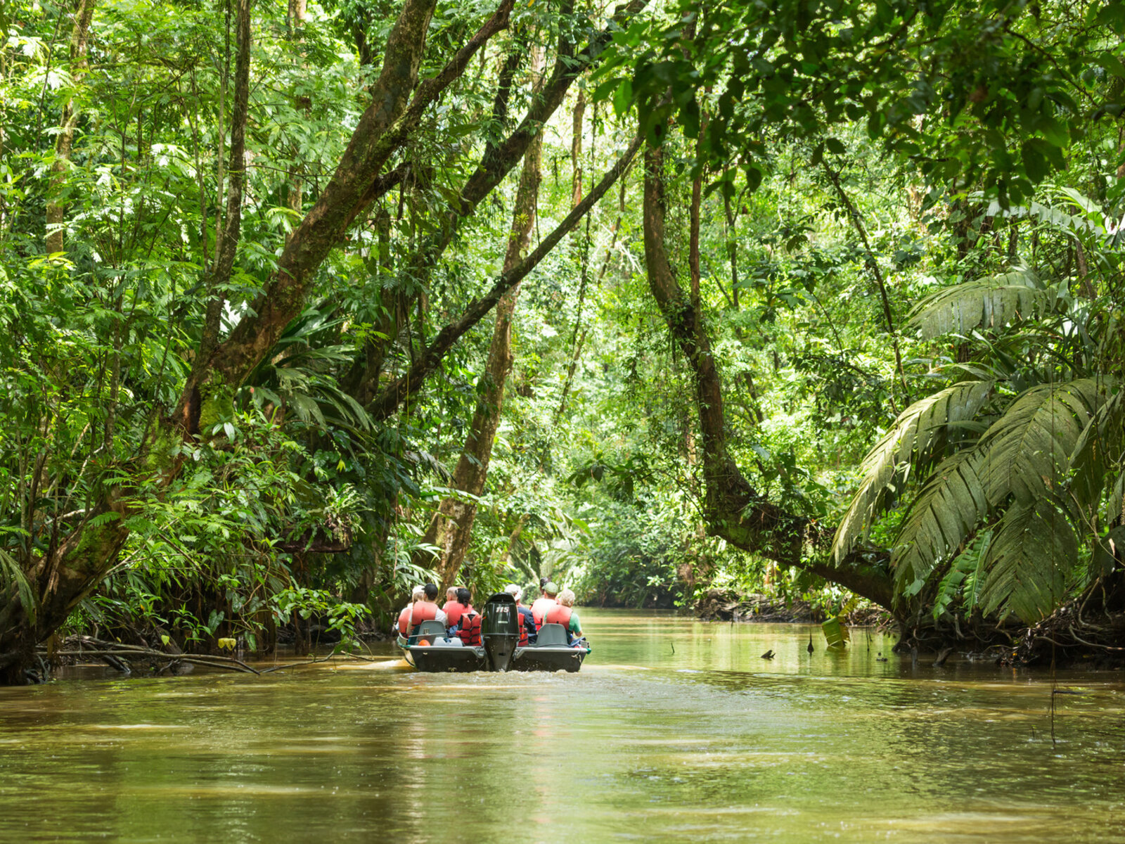 Hotel Rundreise Costa Rica Tortuguero Nationalpark In San Jose G Nstig