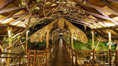 Jungle Beach Resort