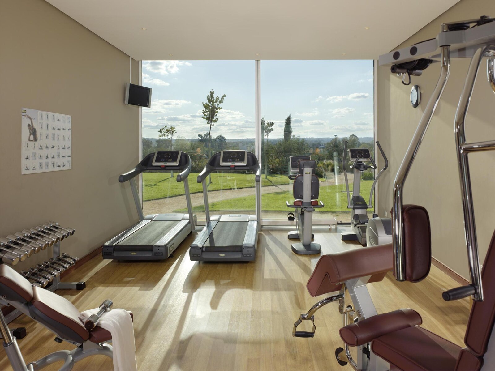 Sport