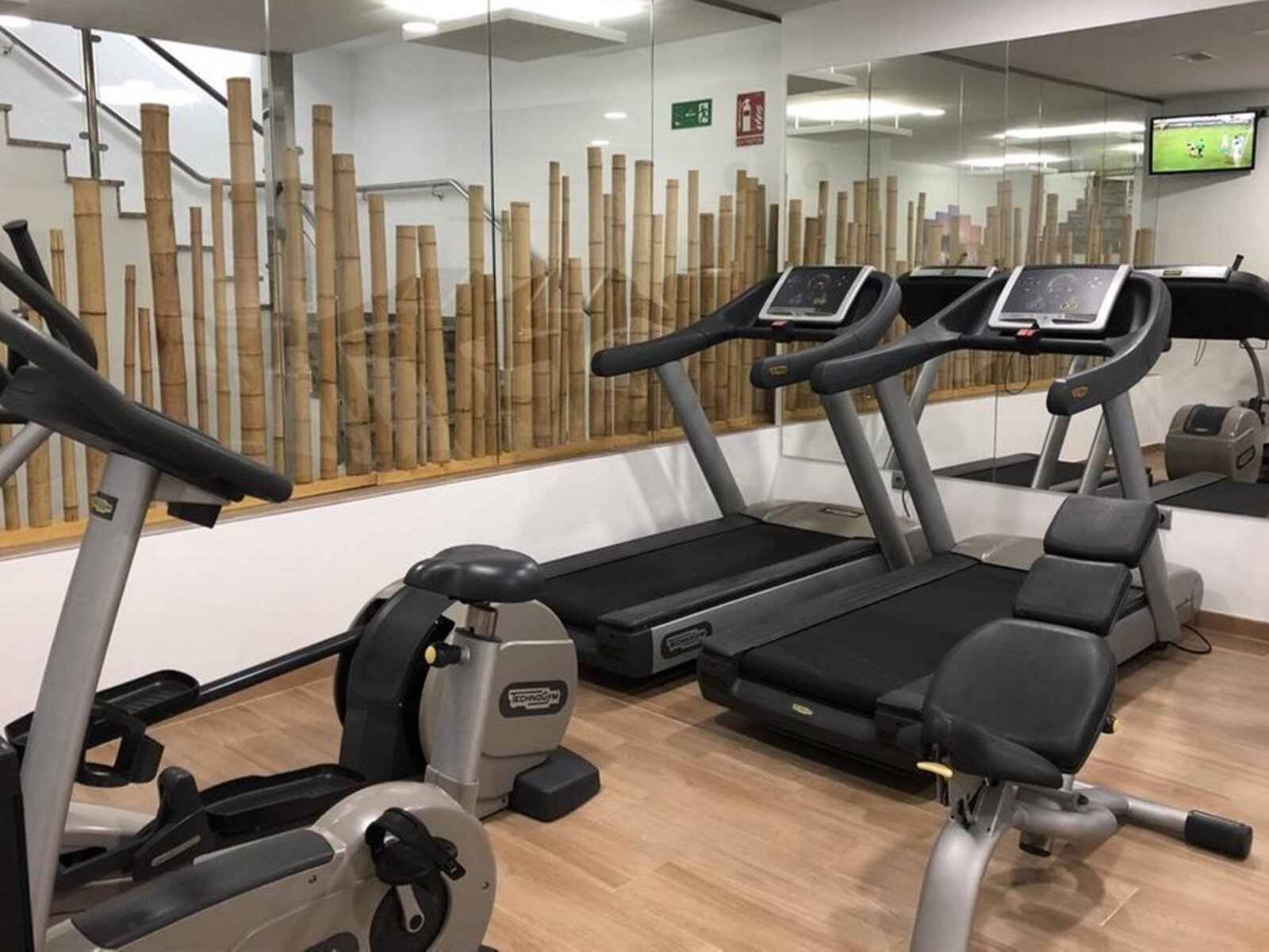 Sport