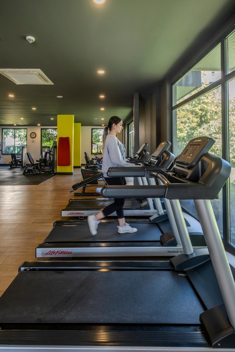 Sport