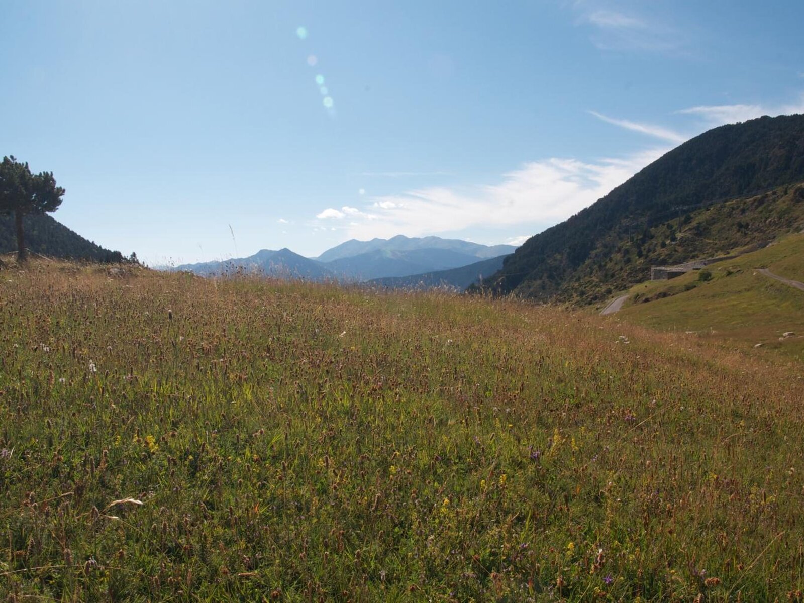 Landschaft