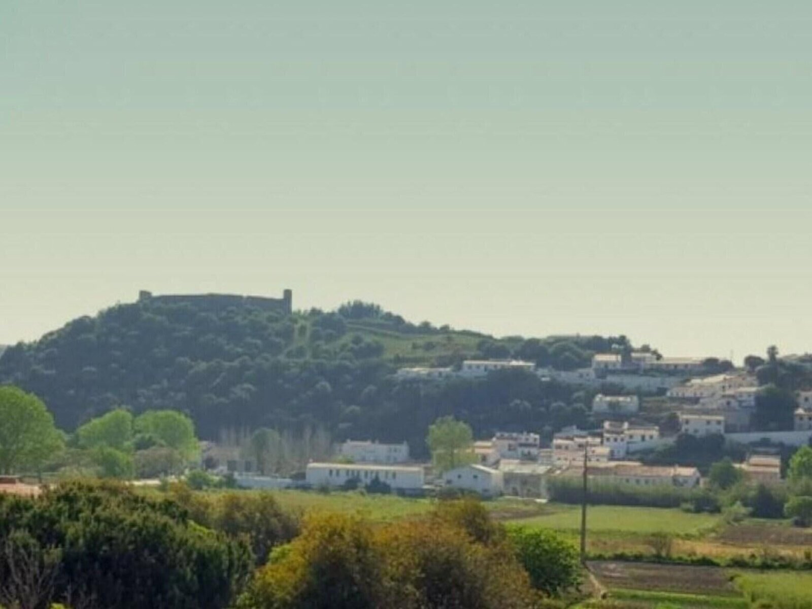 Landschaft