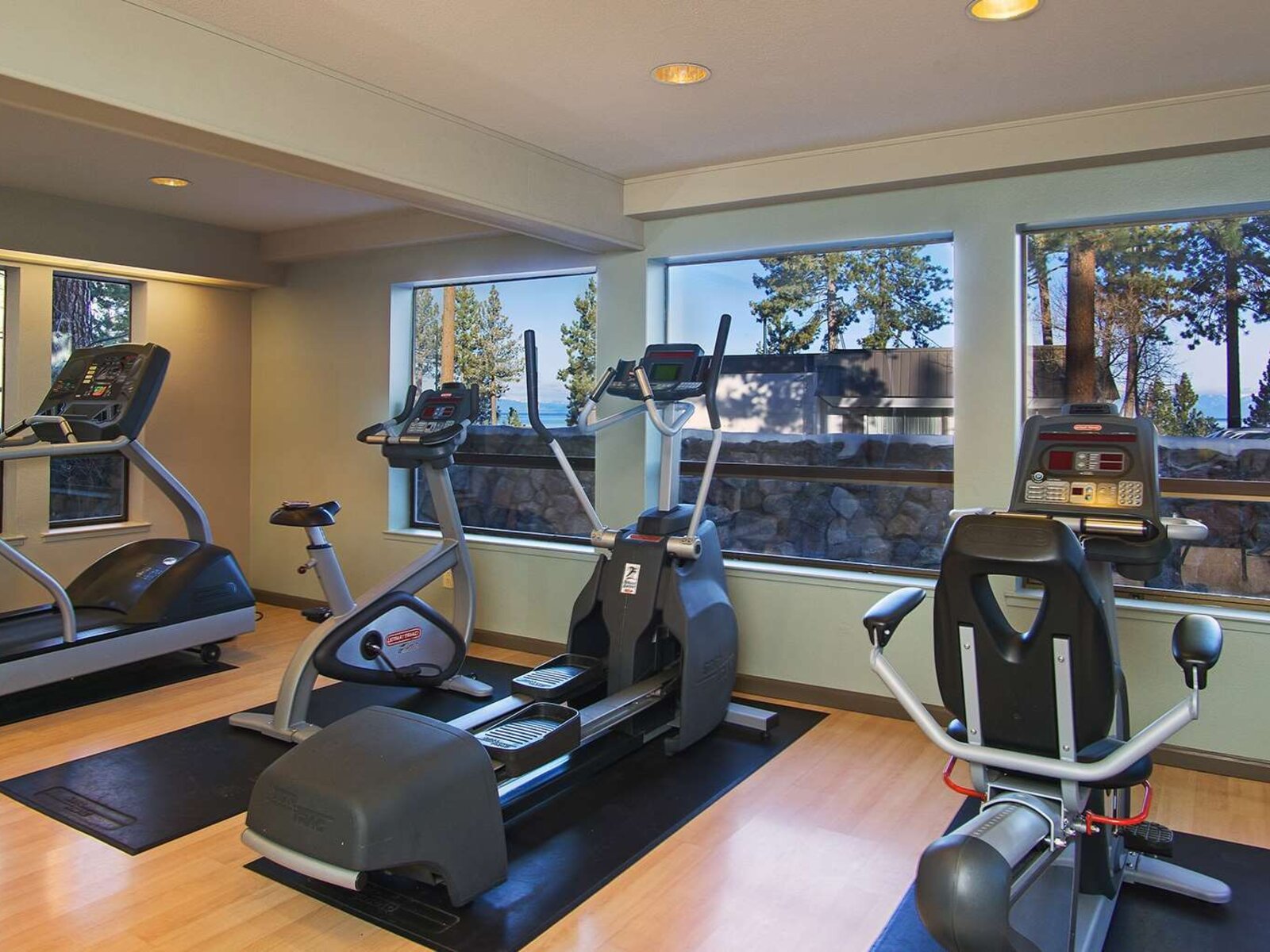 Sport