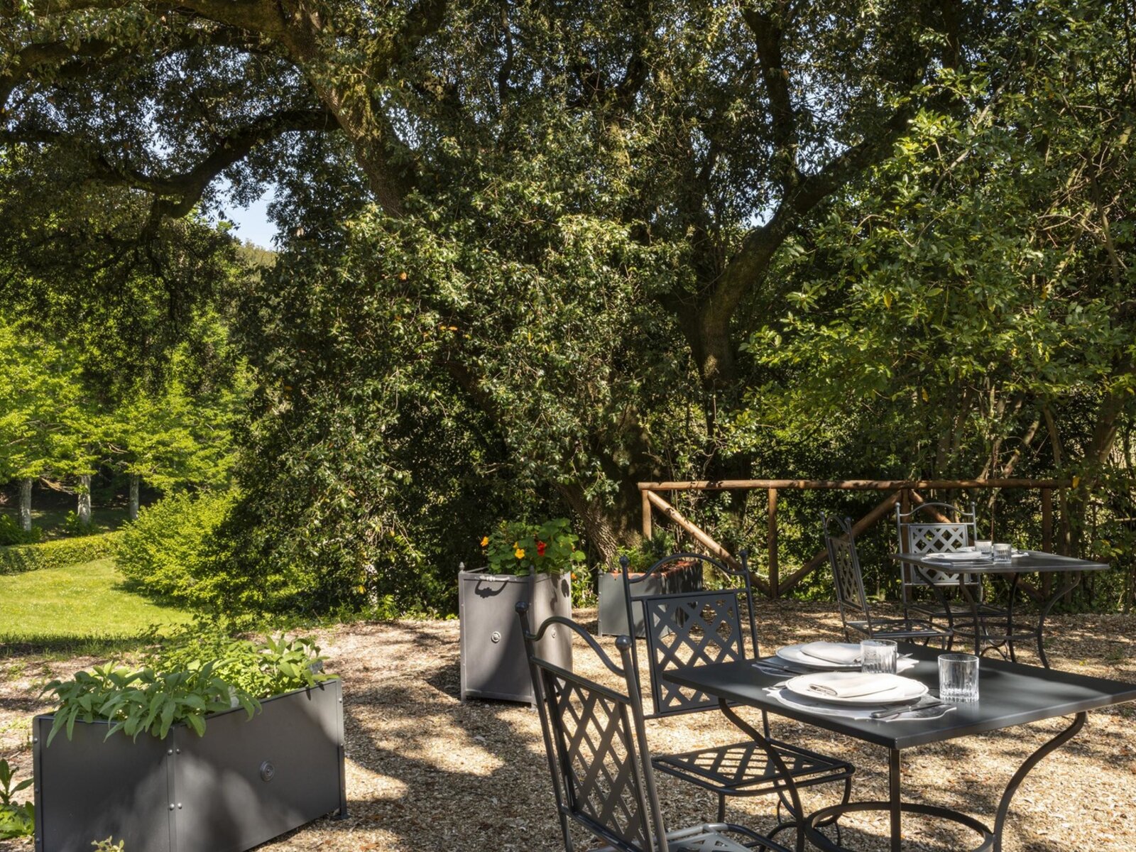 Osteria Torre a Cona