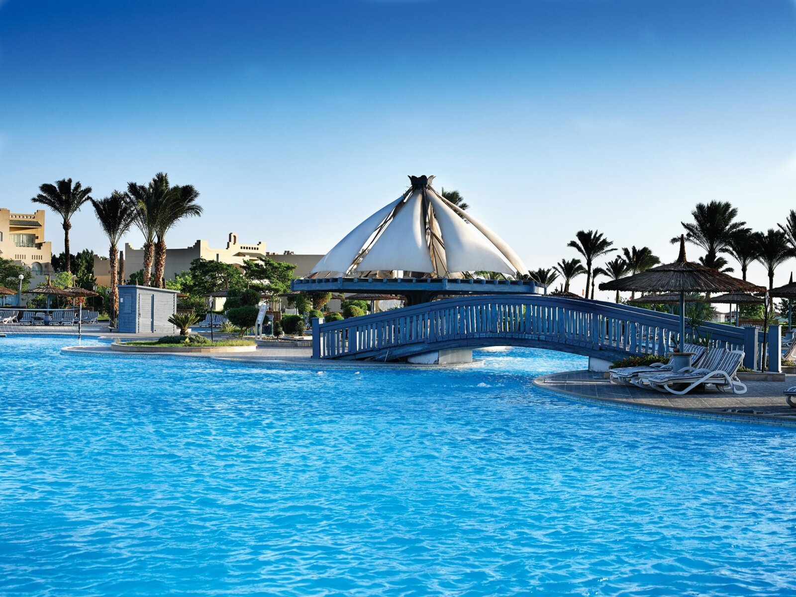 Palms Pool