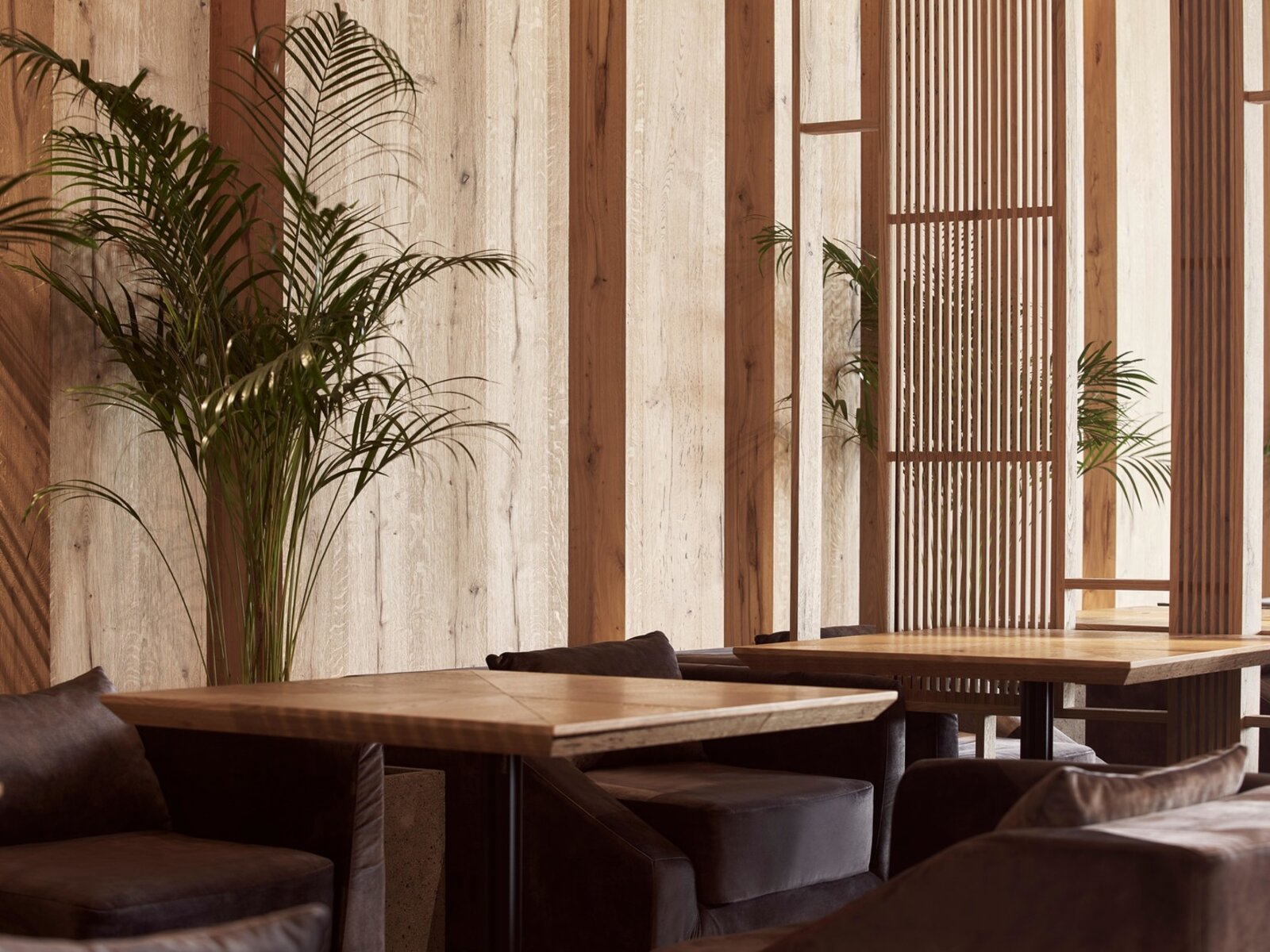 Divine Bar