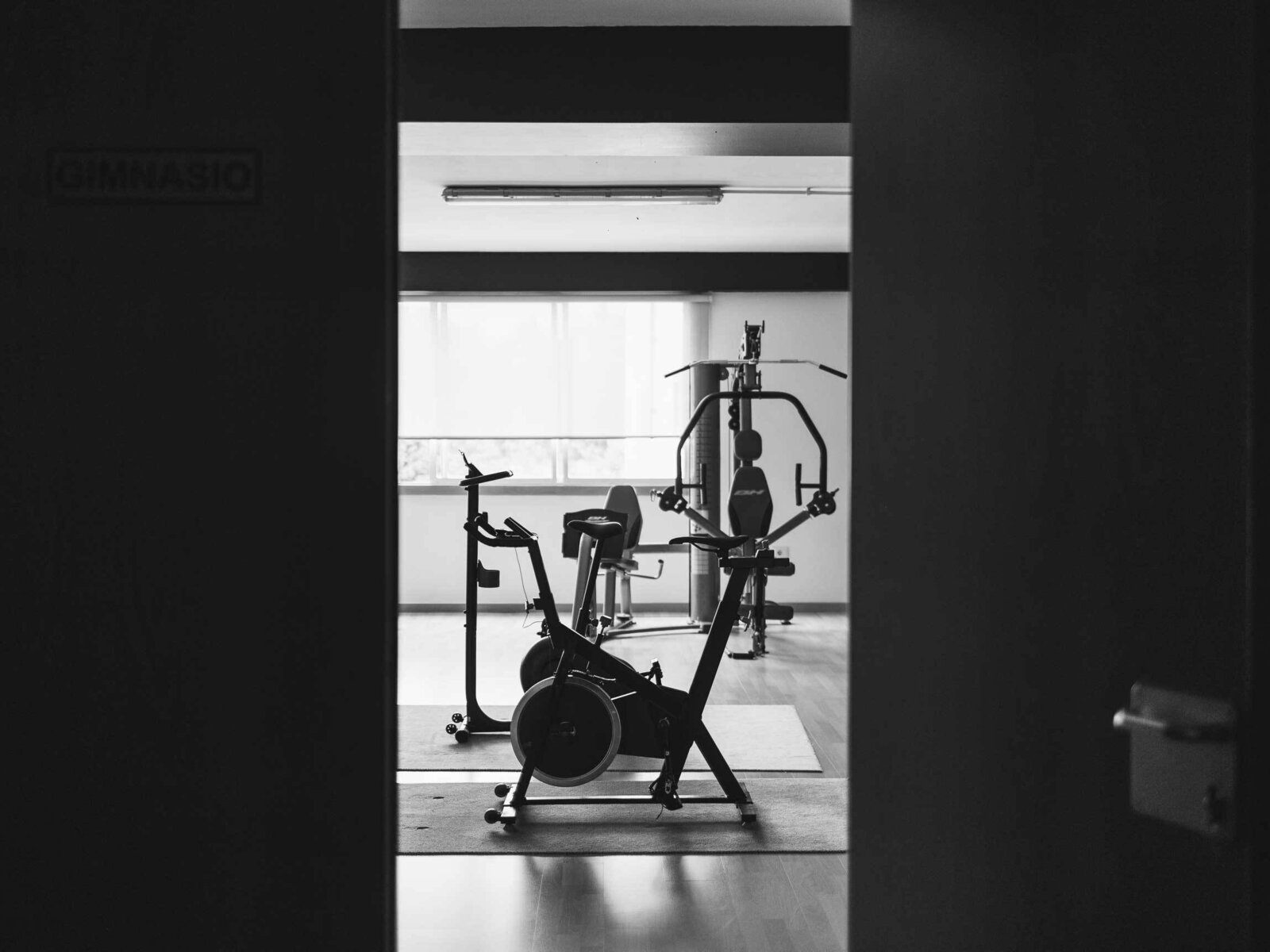 Sport
