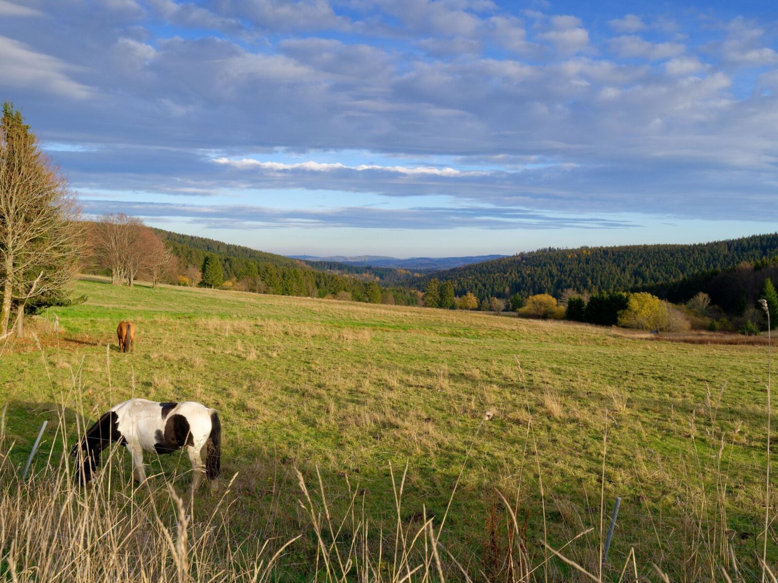 Landschaft
