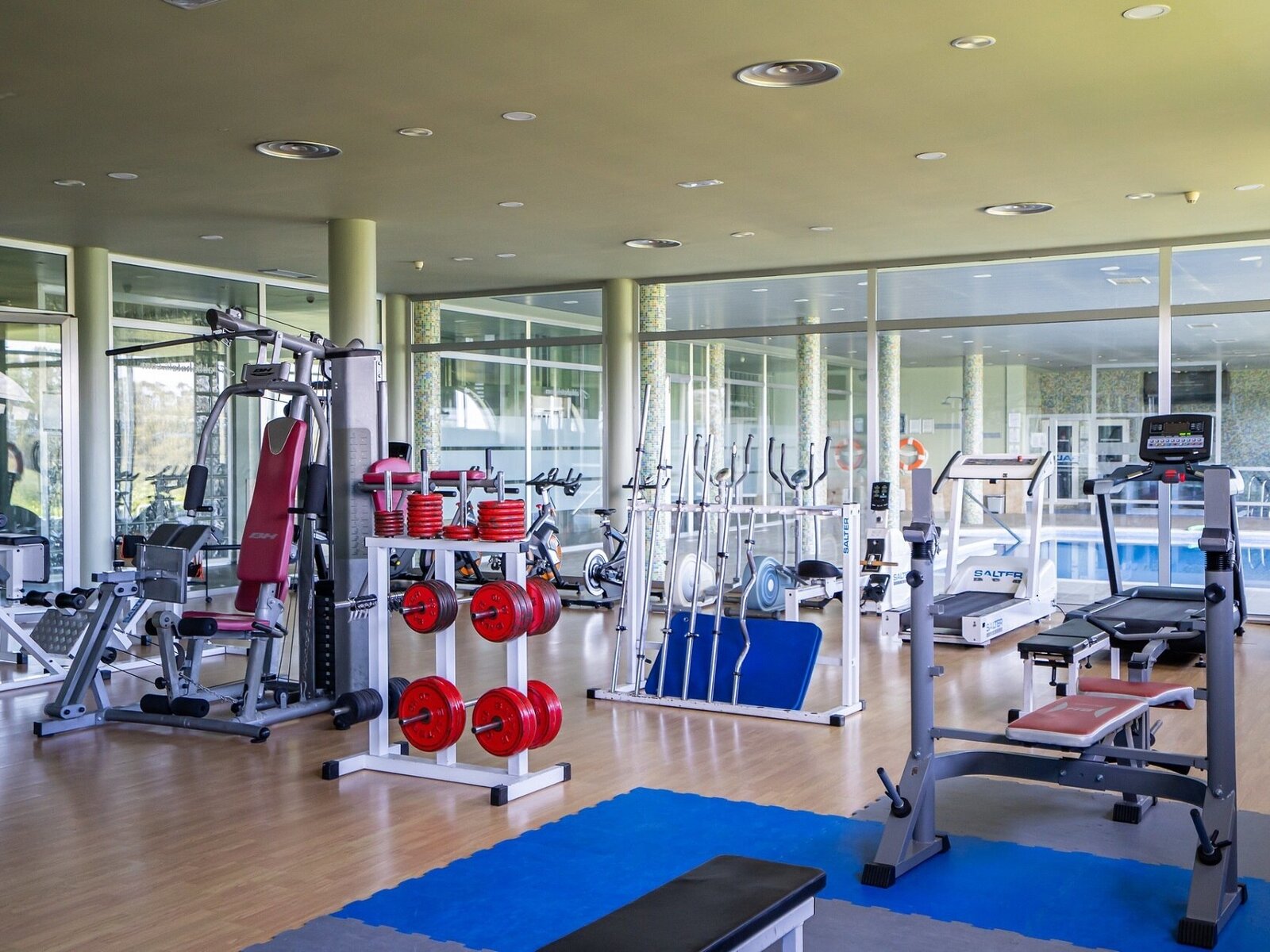 Sport