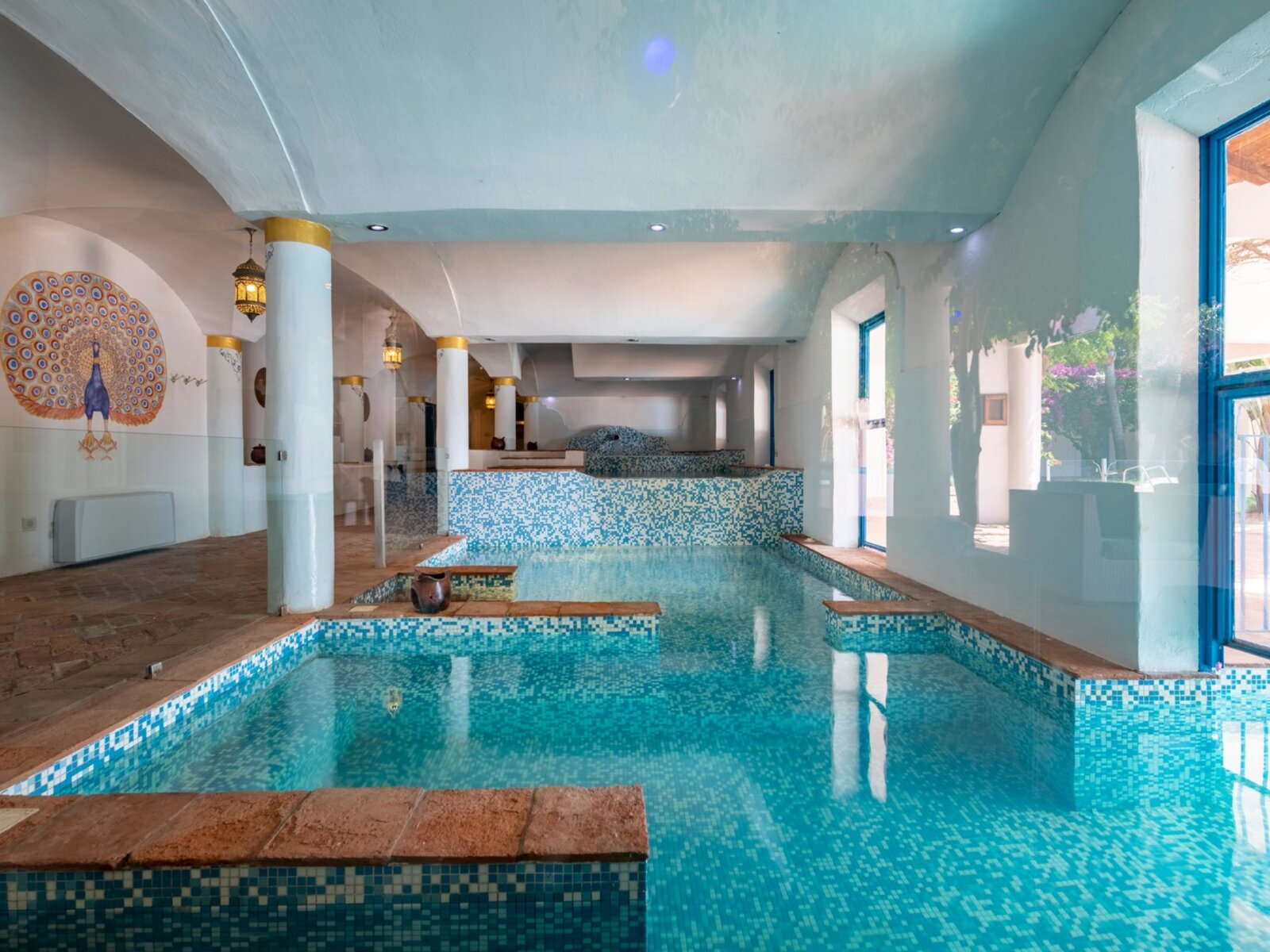 Wellness