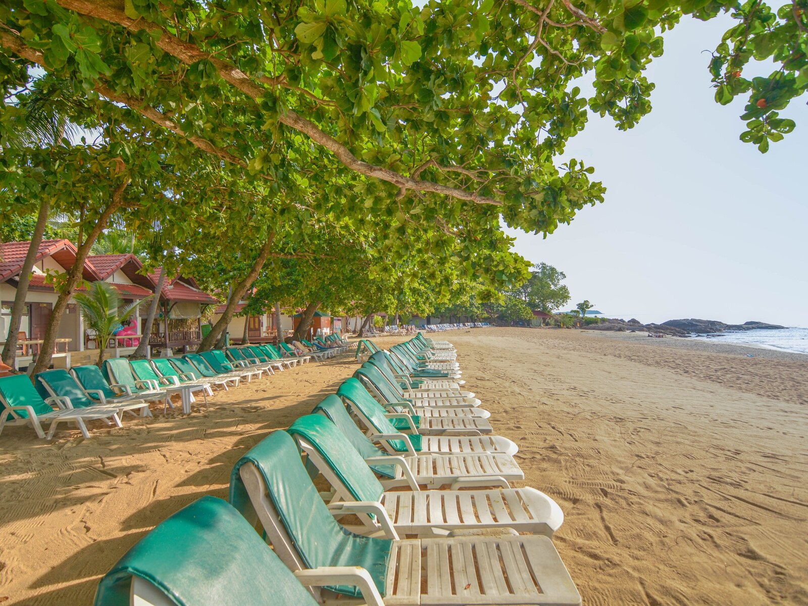 Strand
