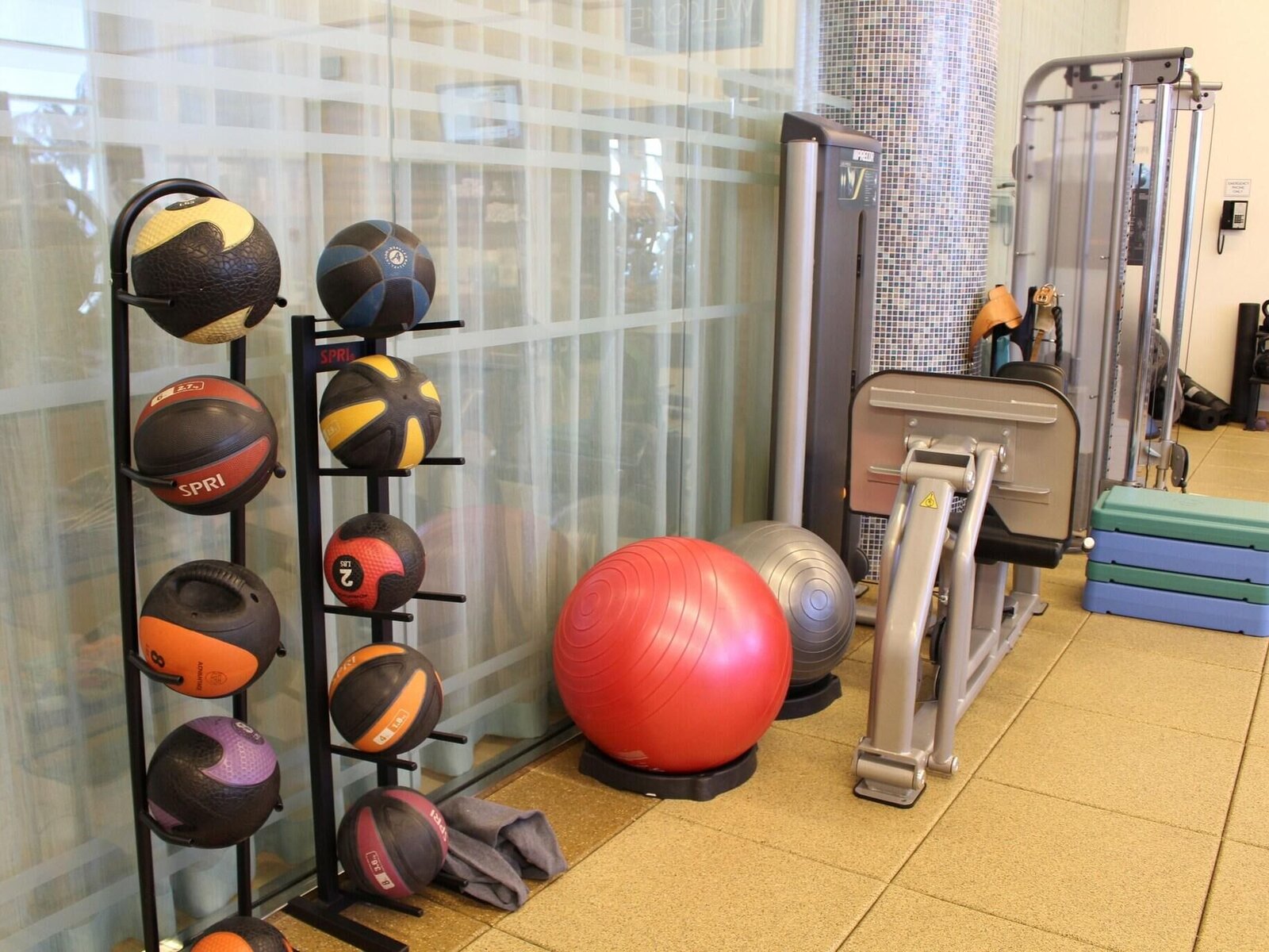 Sport