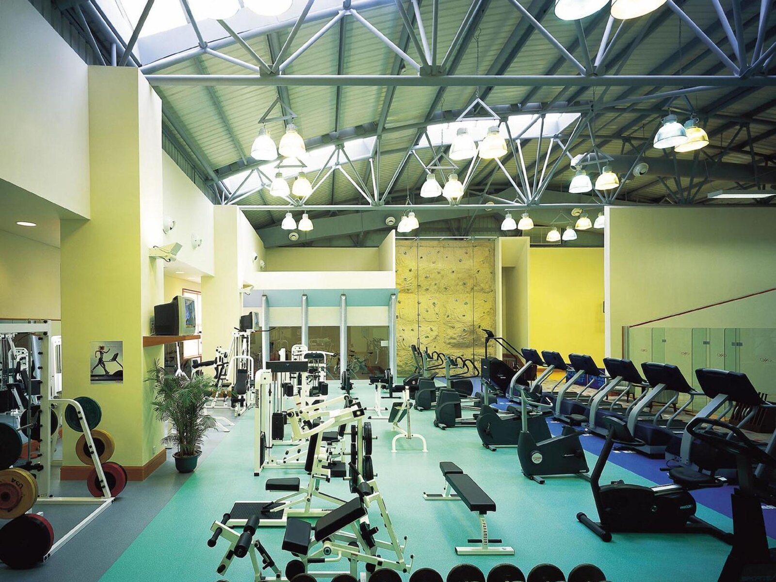 Sport