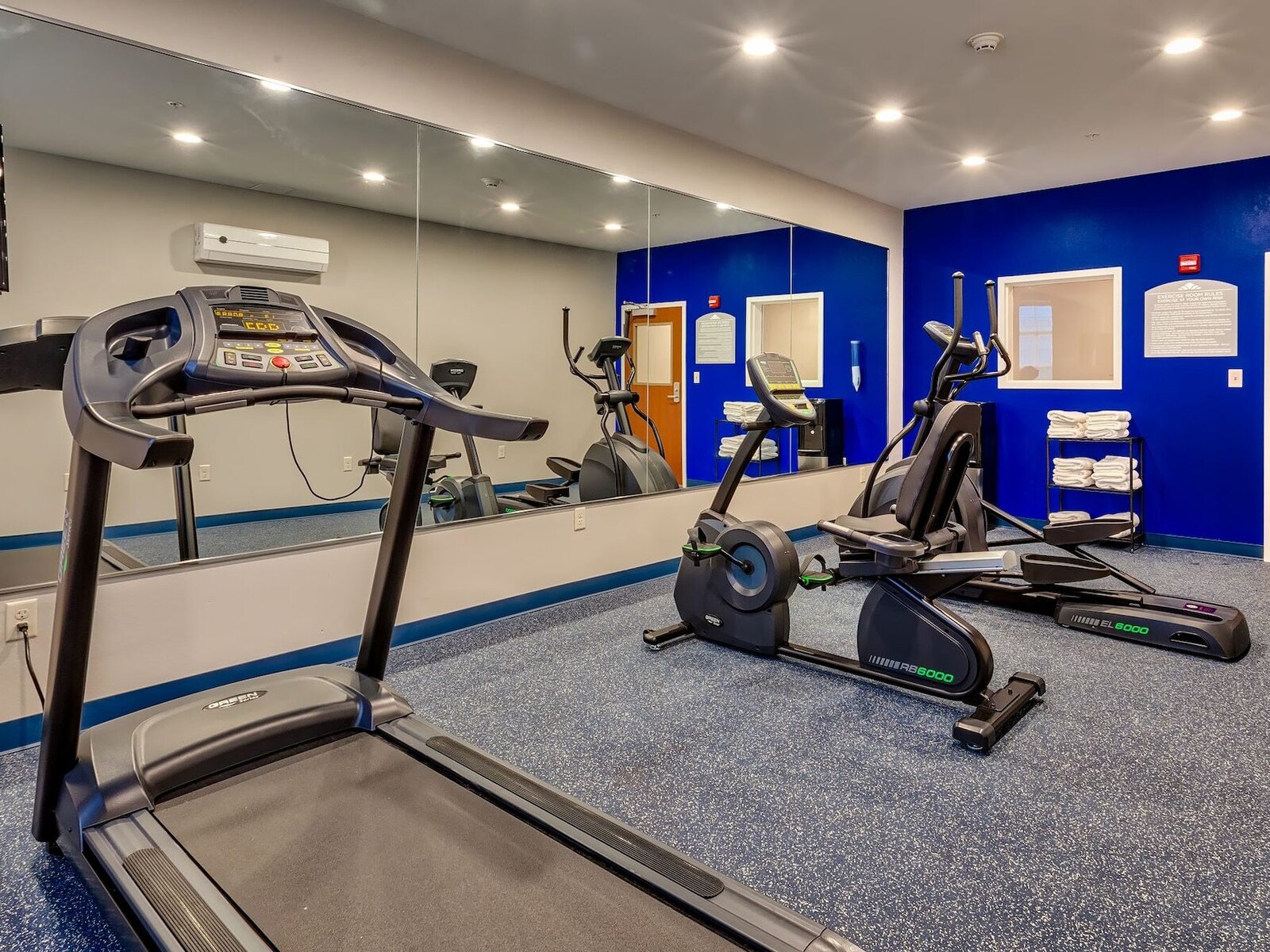 Sport
