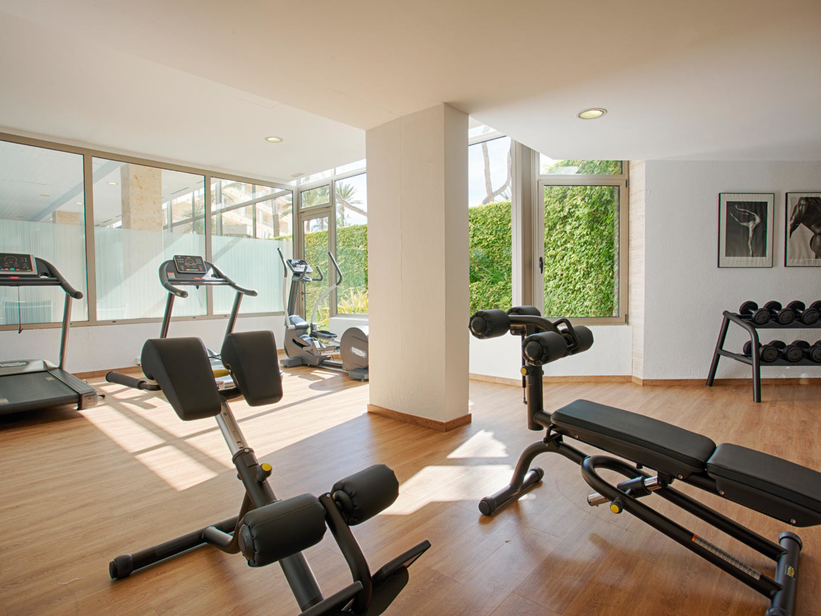 Sport