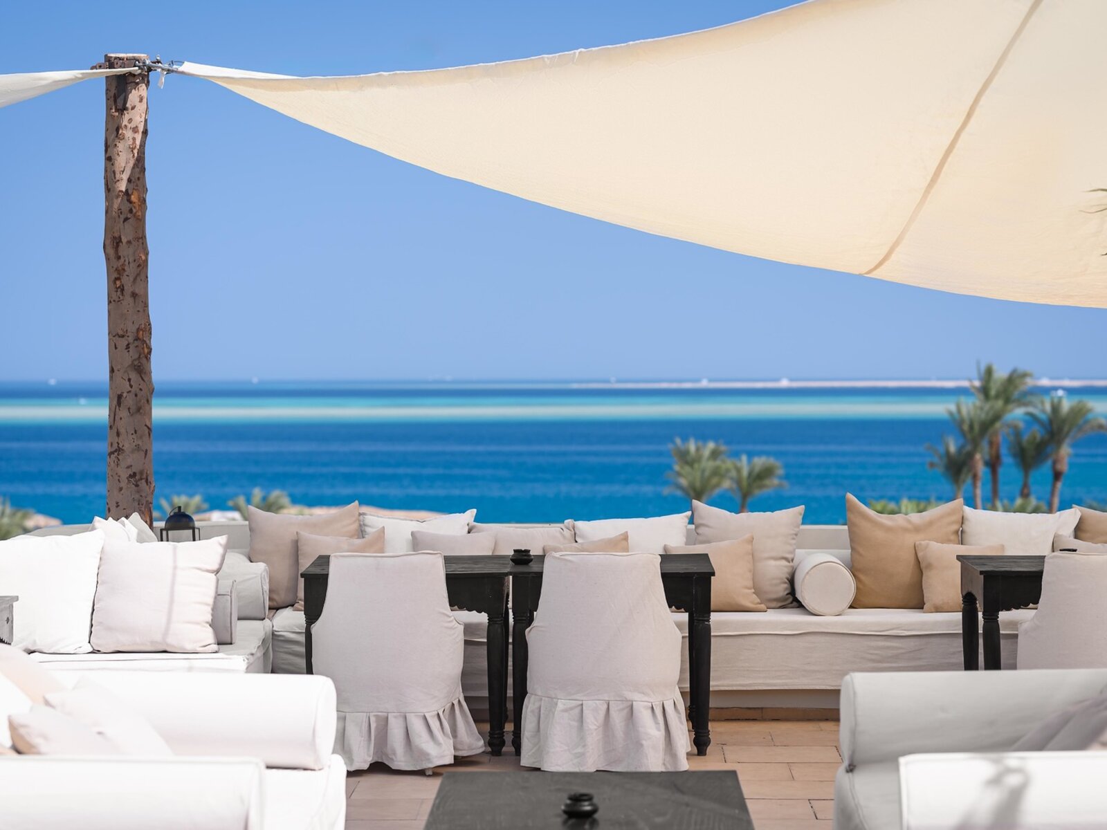 The Rooftop Terrace