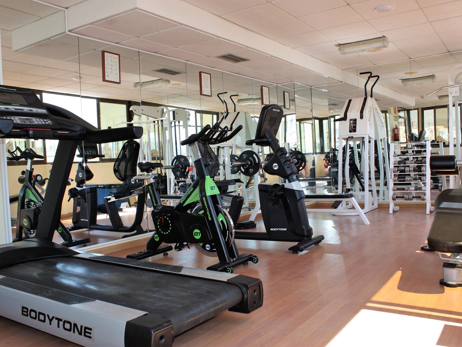Sport