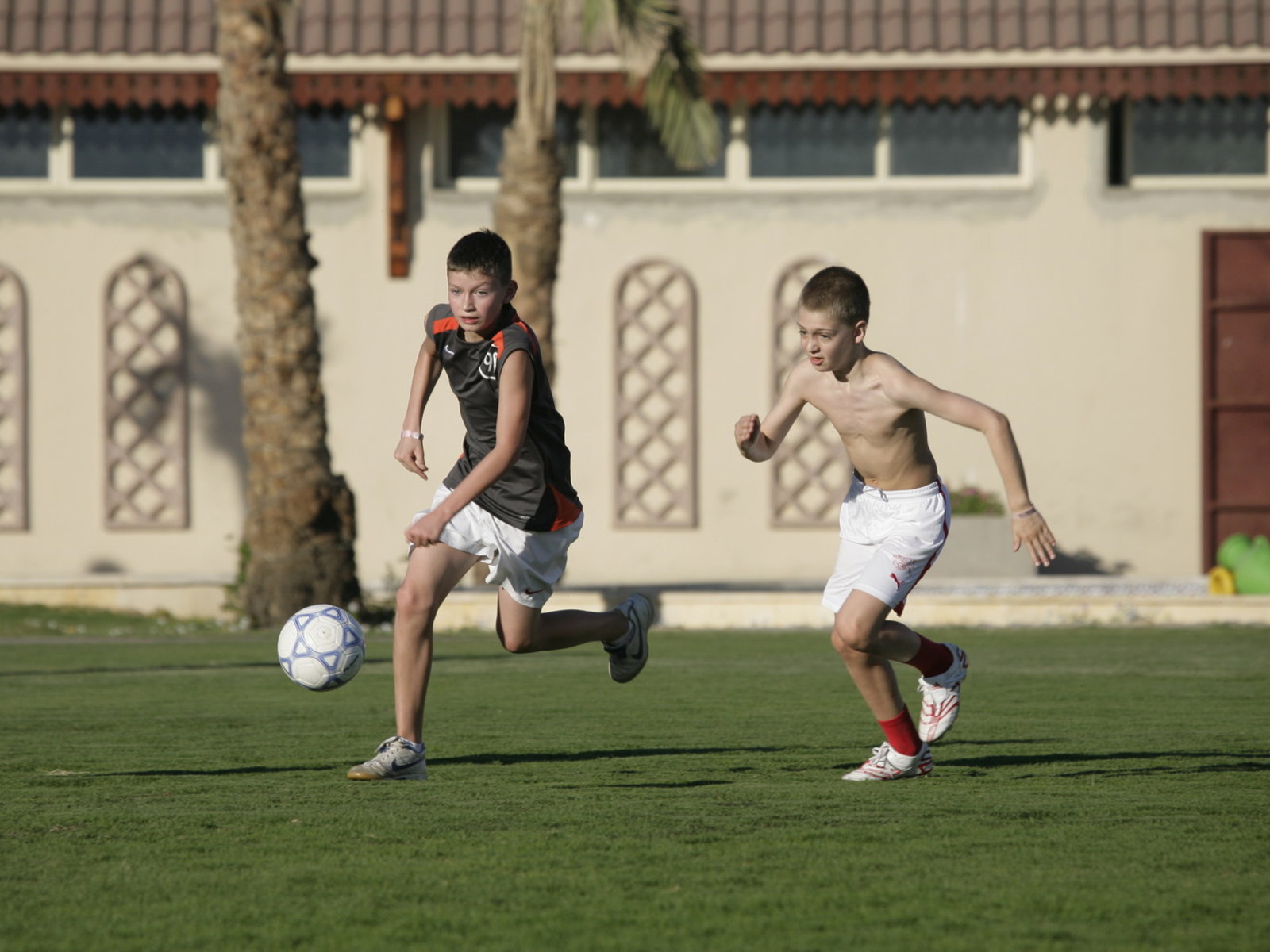 Sport