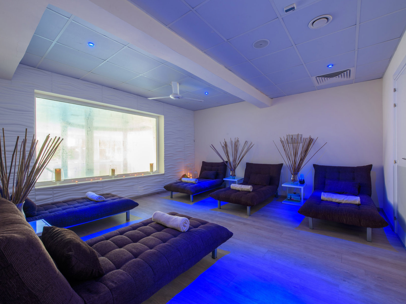 Wellness