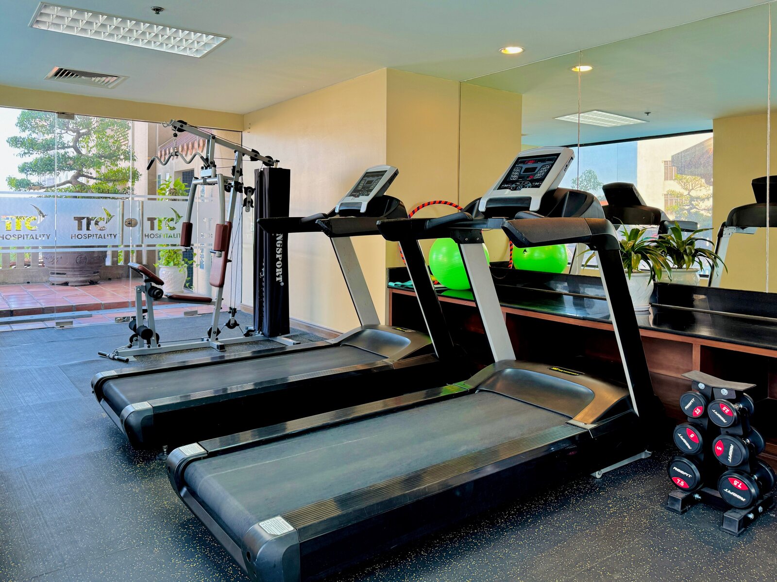 Sport