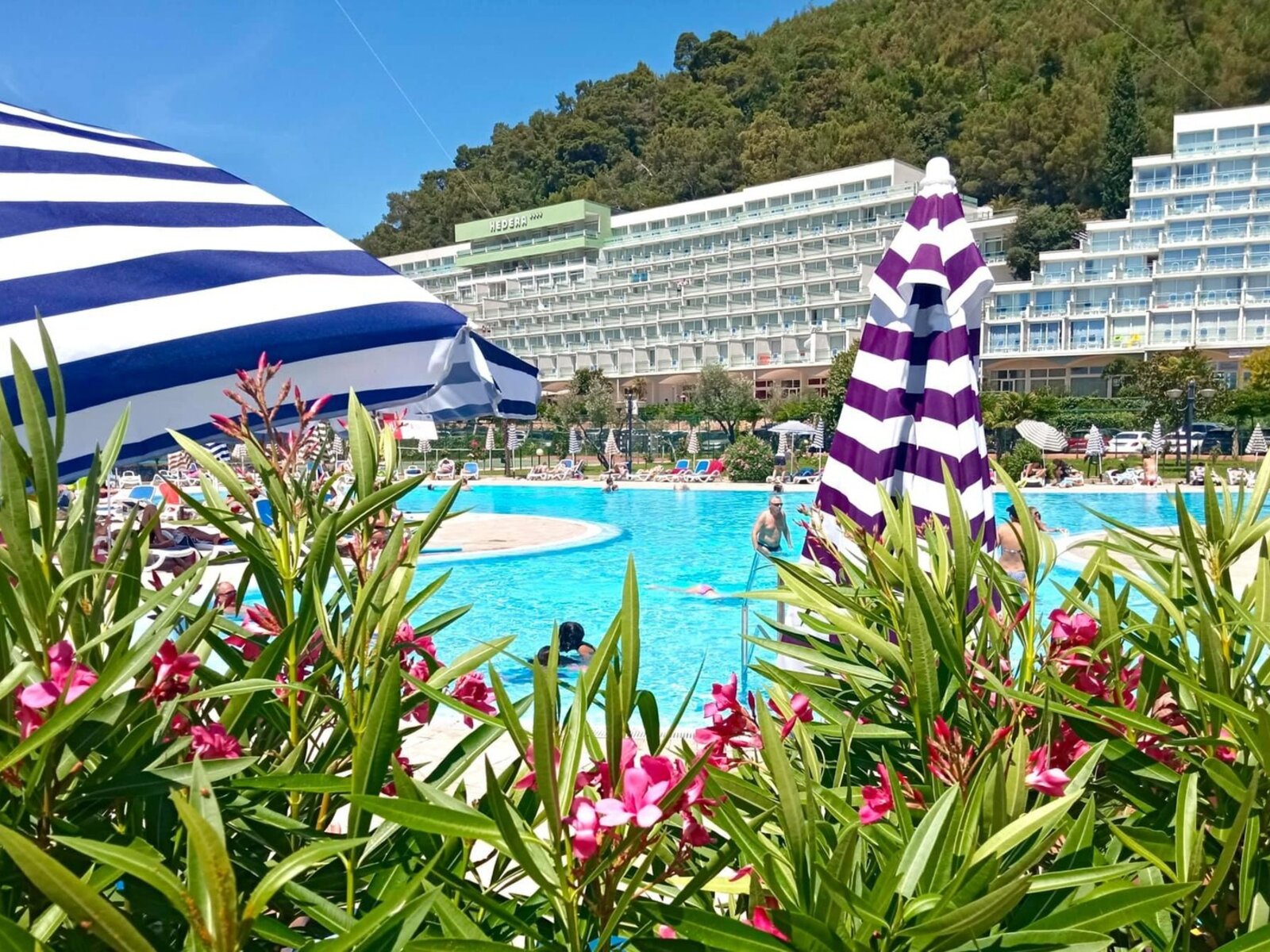 Hotel Hotel Hedera in Rabac gnstig buchen bei TUI.at