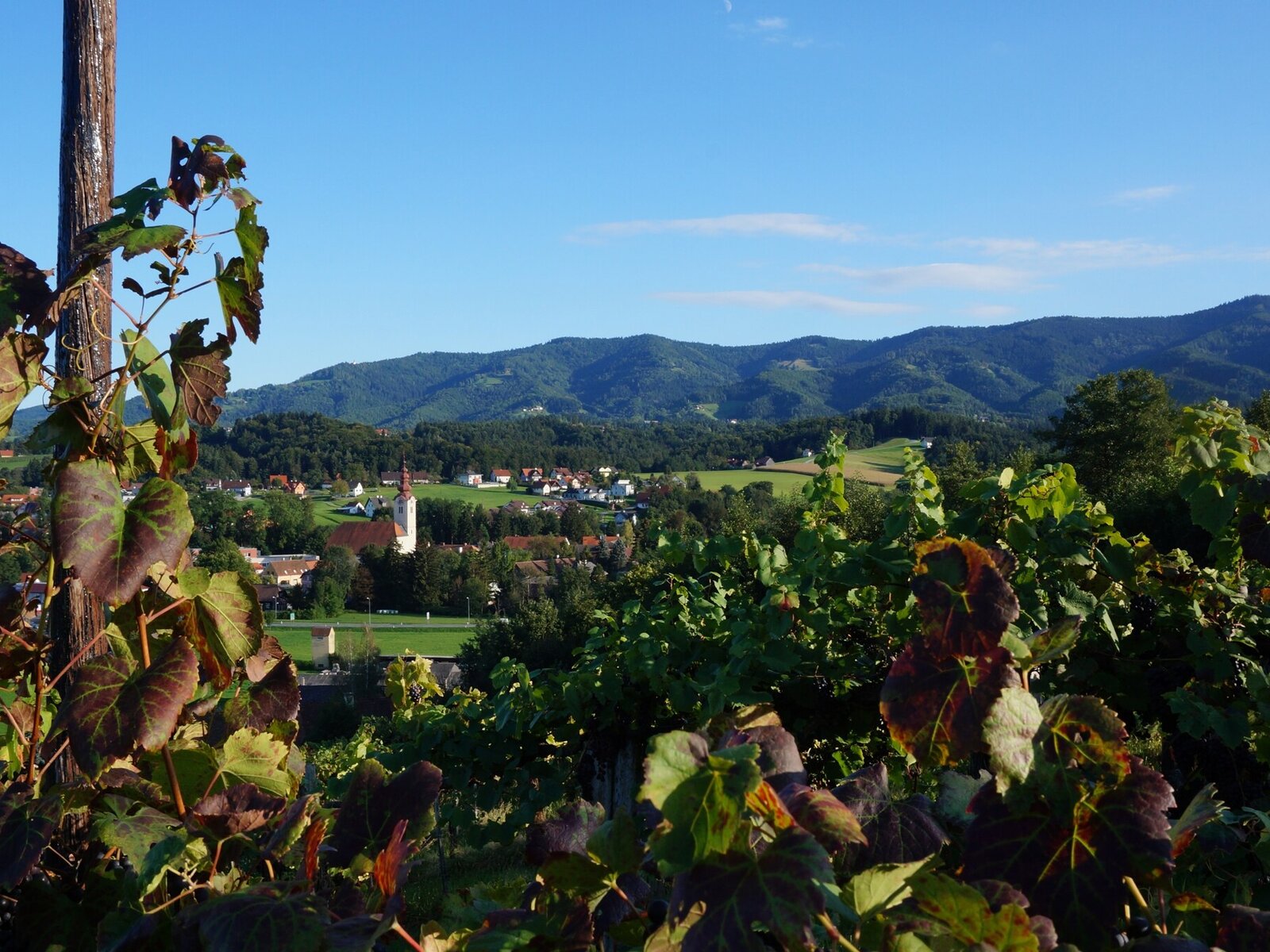 Landschaft