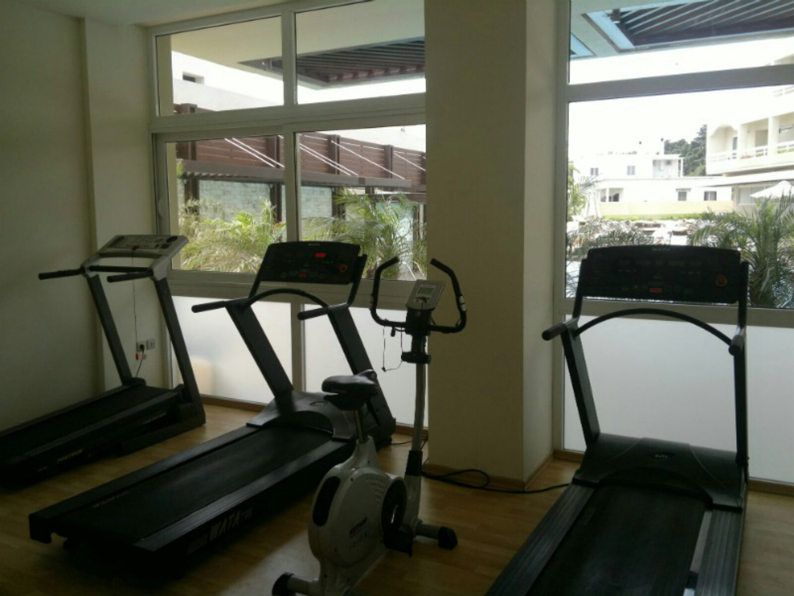 Sport