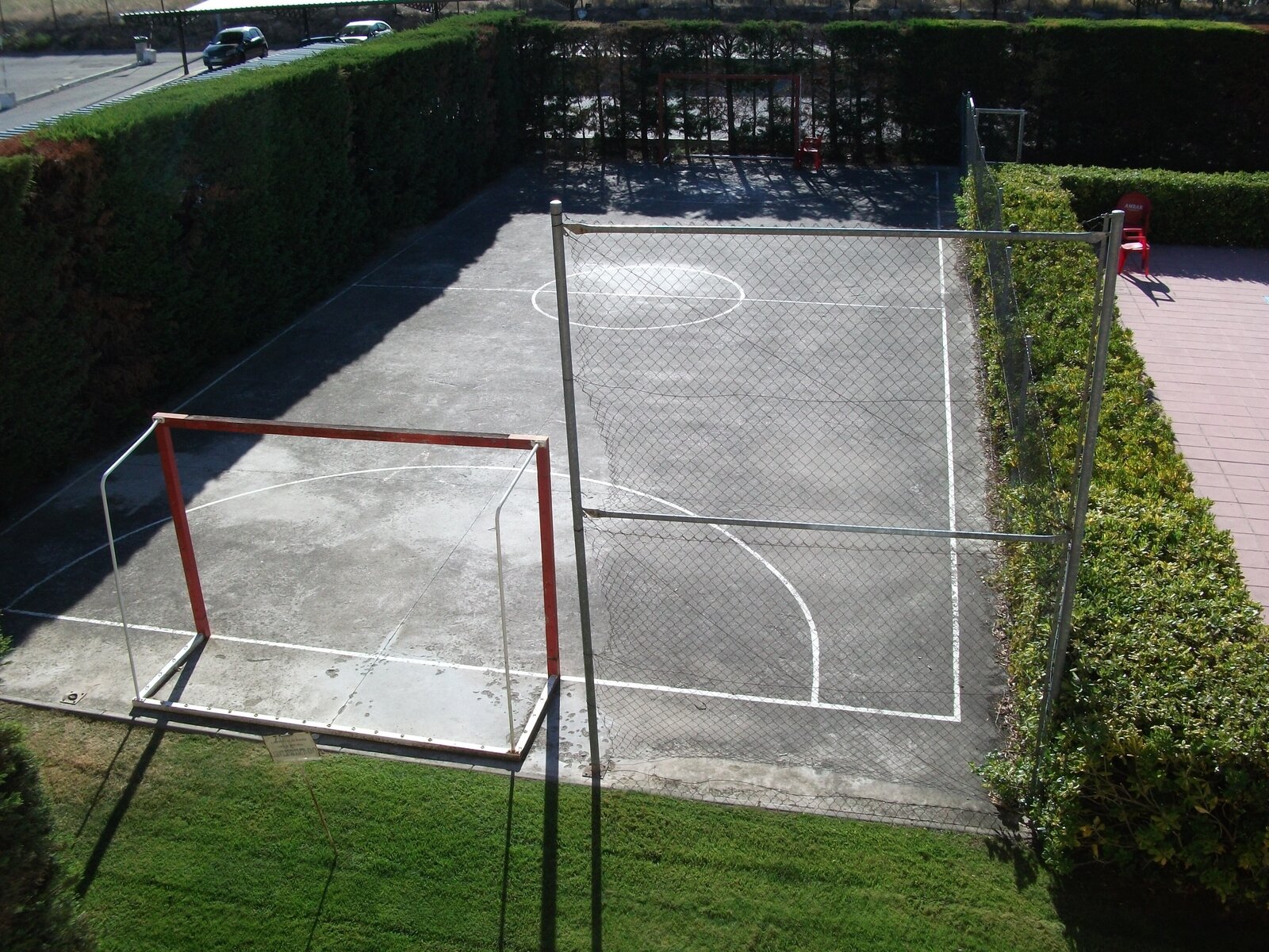 Sport