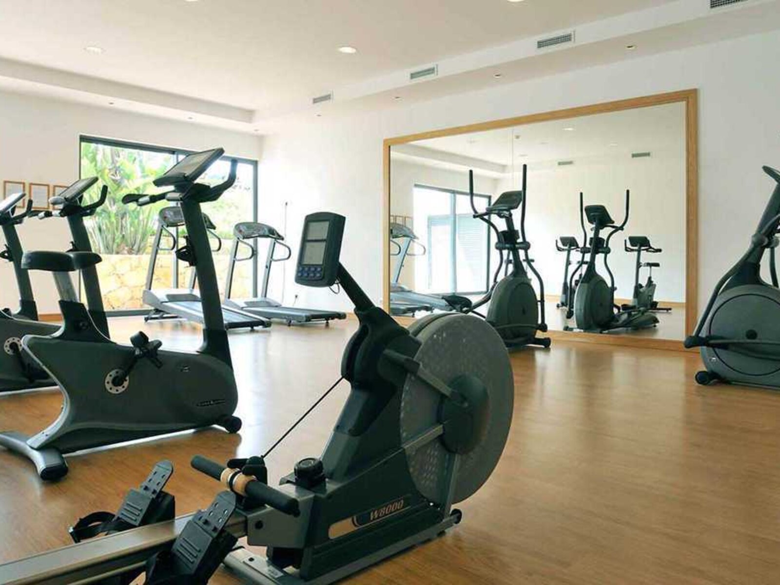 Sport