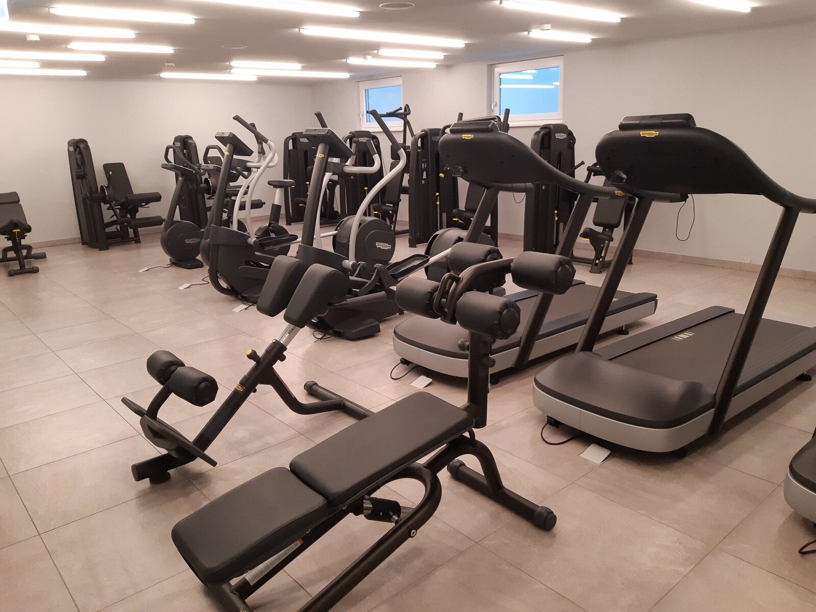 Sport