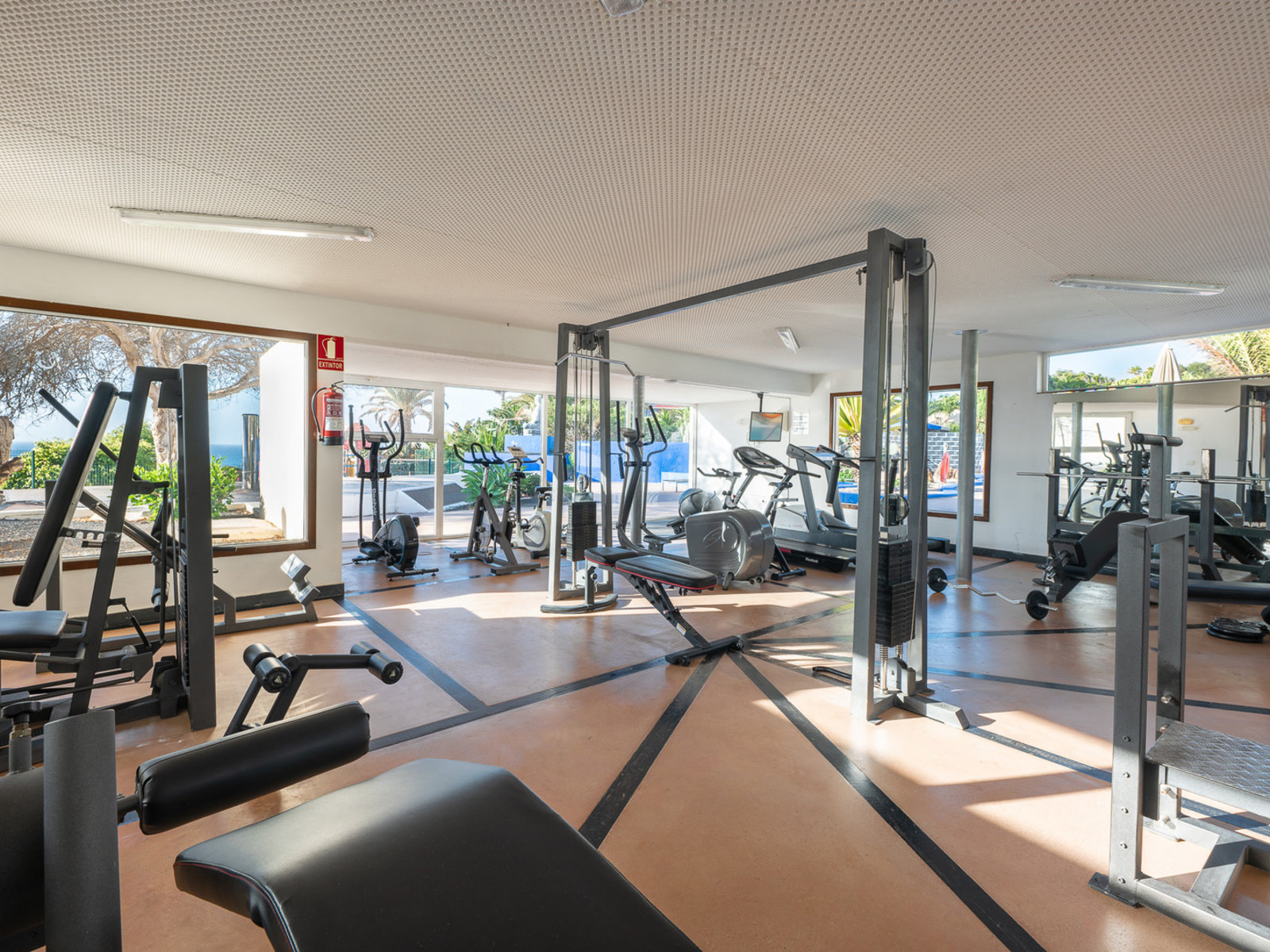 Sport