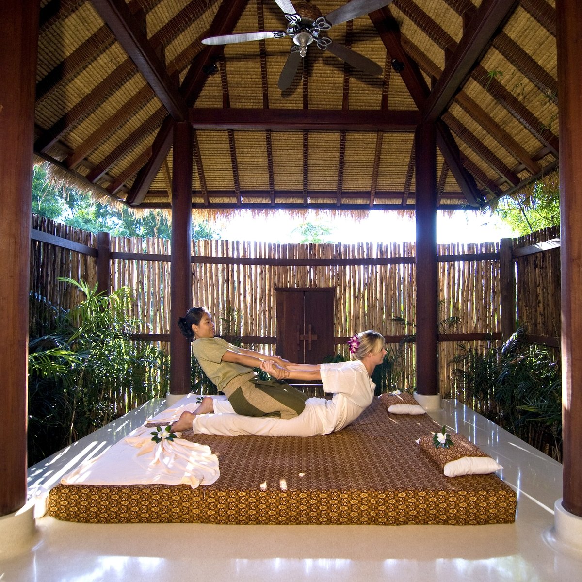 Wellness
