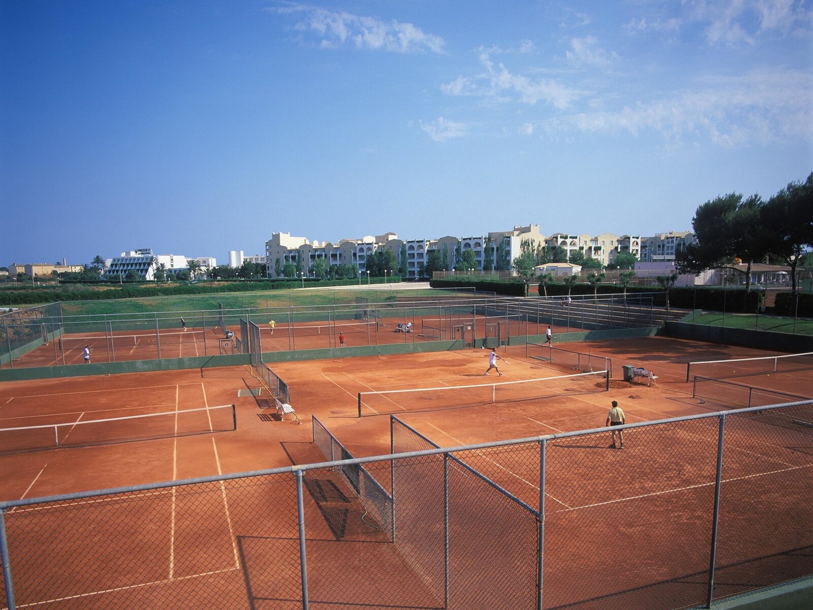 Sport