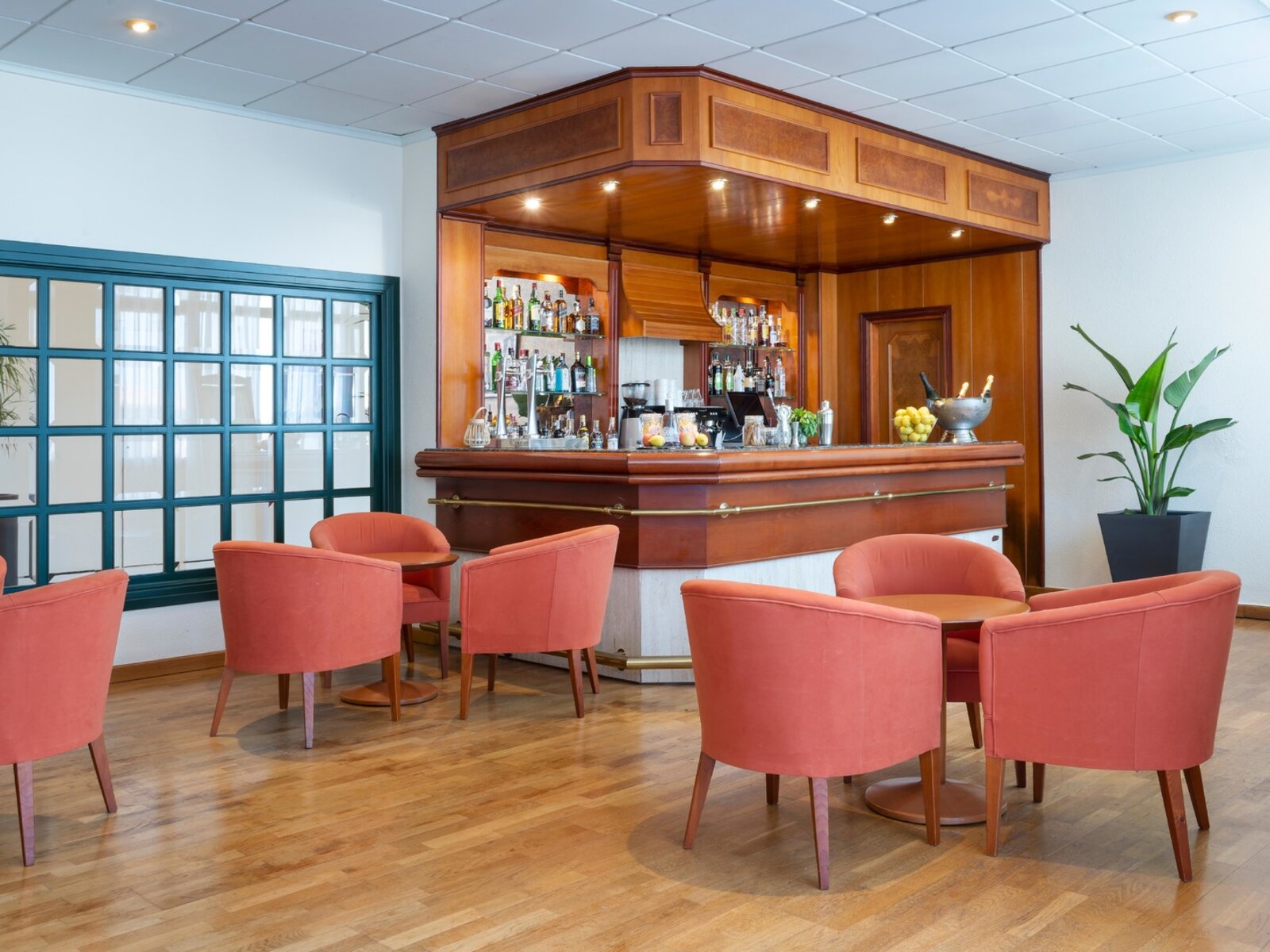 Adults Only-Bar