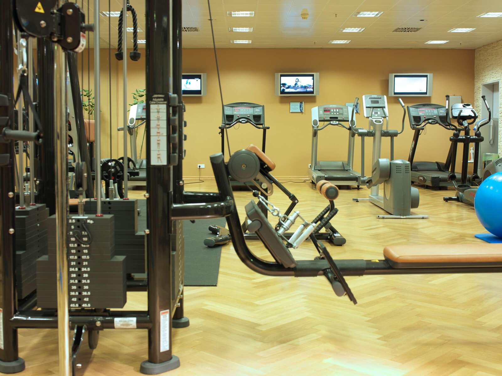Sport